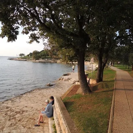Mit Pool Und Garten In Vikendica Porec